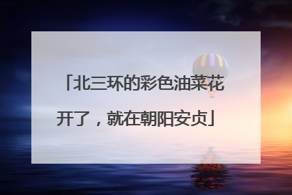 北三环的彩色油菜花开了，就在朝阳安贞
