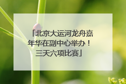 北京大运河龙舟嘉年华在副中心举办！三天六项比赛