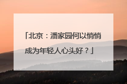 北京：潘家园何以悄悄成为年轻人心头好？