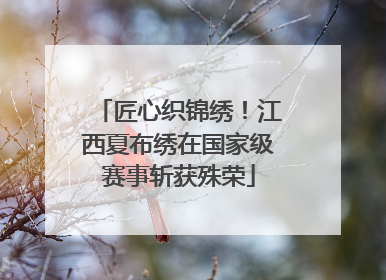 匠心织锦绣！江西夏布绣在国家级赛事斩获殊荣