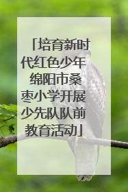 培育新时代红色少年 绵阳市桑枣小学开展少先队队前教育活动