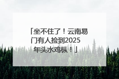 坐不住了！云南易门有人捡到2025年头水鸡枞！