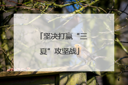 坚决打赢“三夏”攻坚战