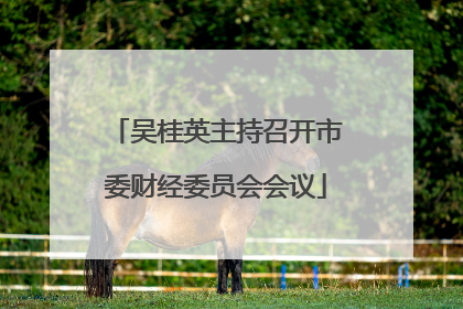 吴桂英主持召开市委财经委员会会议
