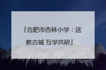 合肥市杏林小学：送教古城 互学共研