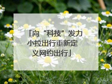 向“科技”发力 小拉出行重新定义网约出行
