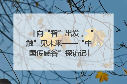 向“智”出发，“触”见未来——“中国传感谷”探访记