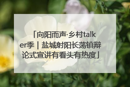 向阳而声·乡村talker季｜盐城射阳长荡镇辩论式宣讲有看头有热度