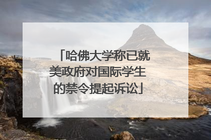 哈佛大学称已就美政府对国际学生的禁令提起诉讼