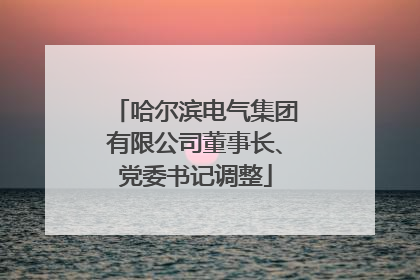哈尔滨电气集团有限公司董事长、党委书记调整