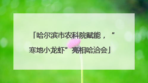 哈尔滨市农科院赋能，“寒地小龙虾”亮相哈洽会