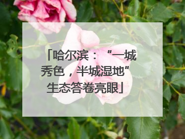 哈尔滨：“一城秀色，半城湿地”生态答卷亮眼