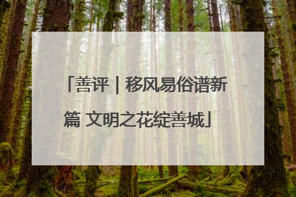 善评｜移风易俗谱新篇 文明之花绽善城