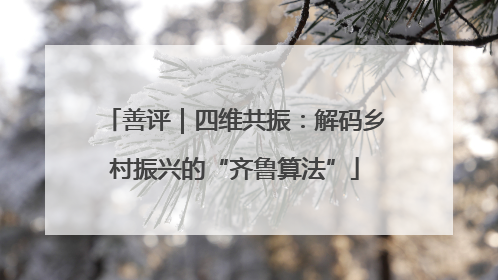 善评｜四维共振：解码乡村振兴的“齐鲁算法”