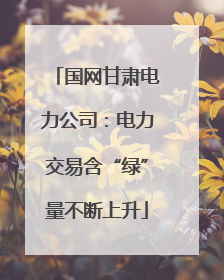 国网甘肃电力公司：电力交易含“绿”量不断上升
