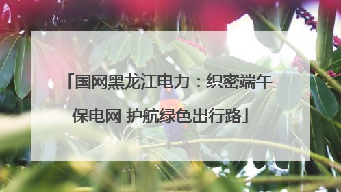 国网黑龙江电力：织密端午保电网 护航绿色出行路
