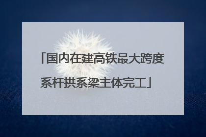 国内在建高铁最大跨度系杆拱系梁主体完工