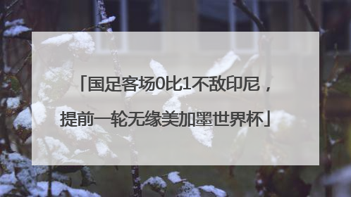 国足客场0比1不敌印尼，提前一轮无缘美加墨世界杯