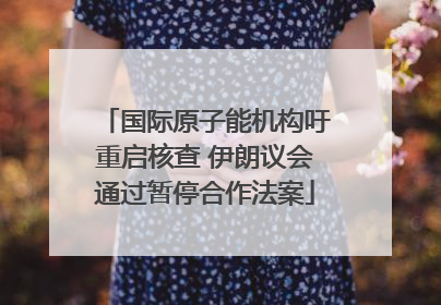 国际原子能机构吁重启核查 伊朗议会通过暂停合作法案
