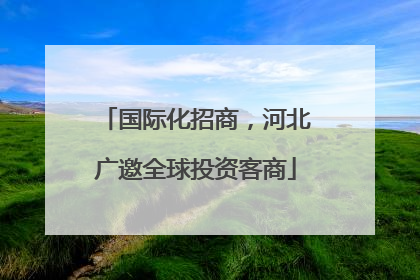 国际化招商，河北广邀全球投资客商