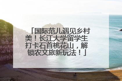 国际范儿遇见乡村美！长江大学留学生打卡石首桃花山，解锁农文旅新玩法！