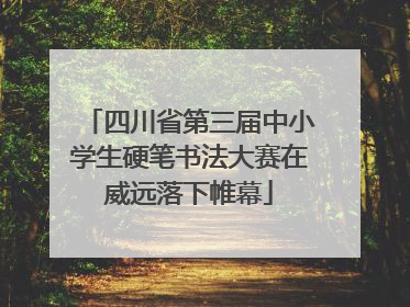 四川省第三届中小学生硬笔书法大赛在威远落下帷幕