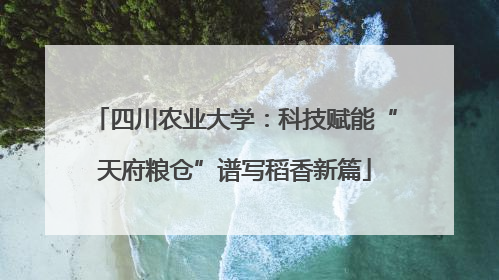 四川农业大学：科技赋能“天府粮仓”谱写稻香新篇