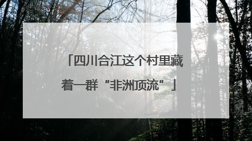 四川合江这个村里藏着一群“非洲顶流”