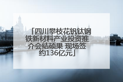 四川攀枝花钒钛钢铁新材料产业投资推介会结硕果 现场签约136亿元