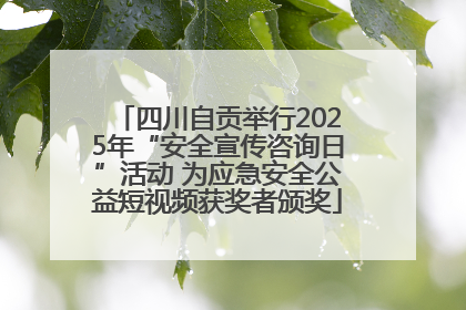 四川自贡举行2025年“安全宣传咨询日”活动 为应急安全公益短视频获奖者颁奖