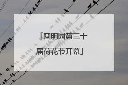 圆明园第三十届荷花节开幕