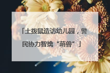 土拨鼠造访幼儿园，警民协力智擒“萌兽”