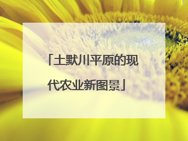 土默川平原的现代农业新图景