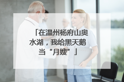 在温州杨府山奥水湖，我给黑天鹅当“月嫂”