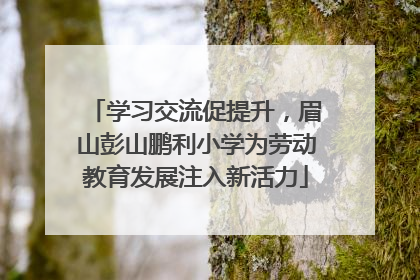 学习交流促提升，眉山彭山鹏利小学为劳动教育发展注入新活力