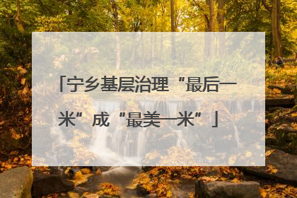 宁乡基层治理“最后一米”成“最美一米”