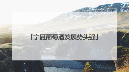 宁夏葡萄酒发展势头强