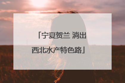 宁夏贺兰 淌出西北水产特色路