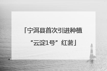 宁洱县首次引进种植“云淀1号”红薯