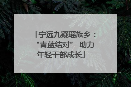 宁远九疑瑶族乡：“青蓝结对” 助力年轻干部成长