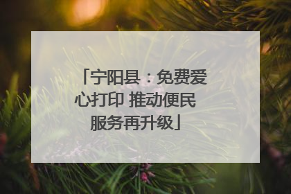 宁阳县：免费爱心打印 推动便民服务再升级