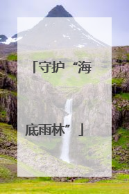 守护“海底雨林”