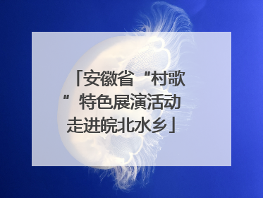 安徽省“村歌”特色展演活动走进皖北水乡