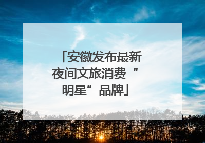 安徽发布最新夜间文旅消费“明星”品牌