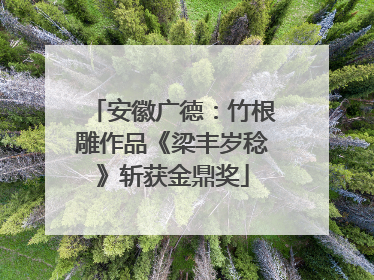 安徽广德：竹根雕作品《梁丰岁稔》斩获金鼎奖