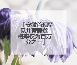 安徽首现罕见并蒂睡莲 概率仅为百万分之一