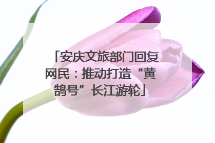 安庆文旅部门回复网民：推动打造“黄鹄号”长江游轮