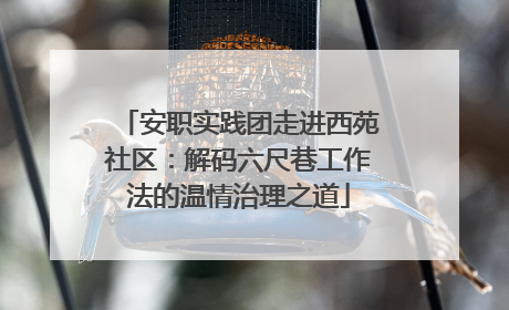 安职实践团走进西苑社区：解码六尺巷工作法的温情治理之道
