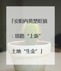 安阳内黄楚旺镇：思路“上新” 土地“生金”