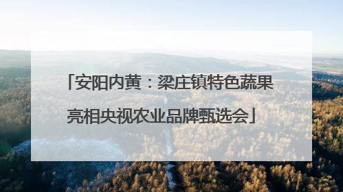 安阳内黄：梁庄镇特色蔬果亮相央视农业品牌甄选会
